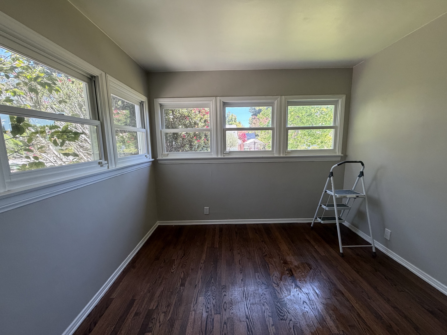 Painted room with windows and hardwood floor